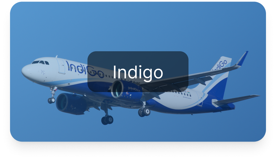 IndiGo flight booking and airfare deals with The Holiday Hub