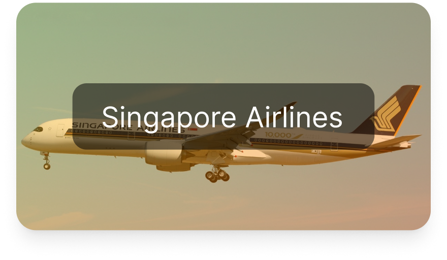 Singapore Airlines booking with The Holiday Hub for premium international travel