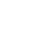 Visa Icon