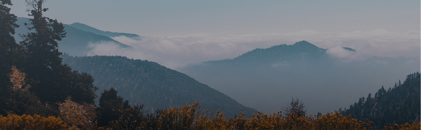 Contact Banner