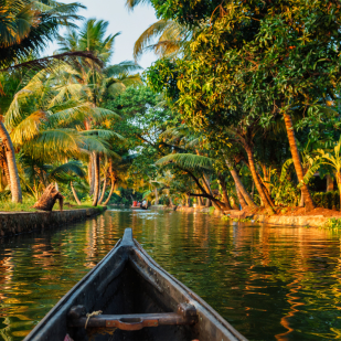 Scenic Kerala Delight