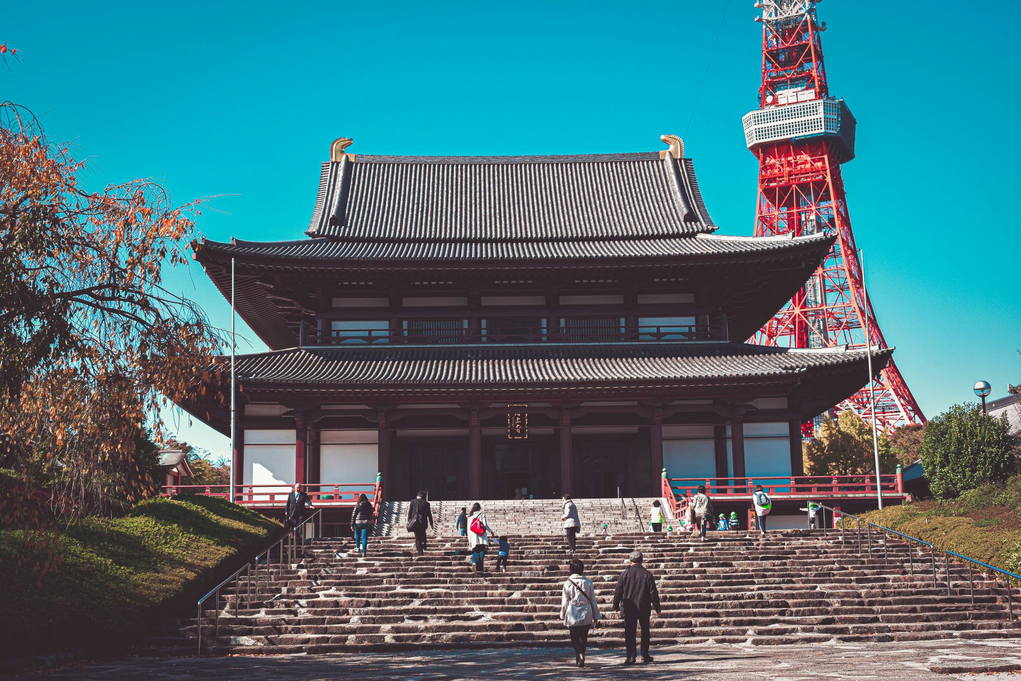 Essential Japan