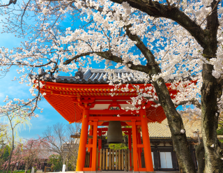 Contrasts of Japan