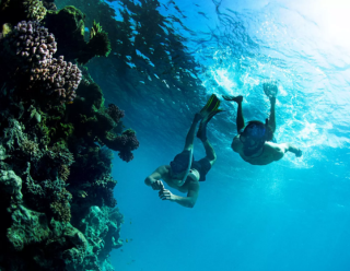 From Red Sea to the Gulf of Arabia