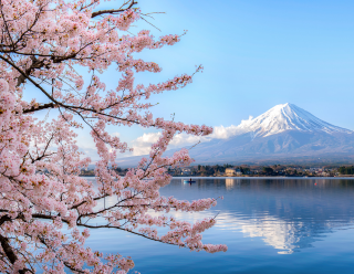 Discover Japan in Bloom 