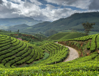 4 Nights – Serene Kerala