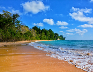 Andaman Holiday Package – Explore the Tropical Paradise