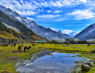 Kashmir Delight