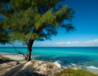 Bahamas Classic Tour: 5 Days / 4 Nights