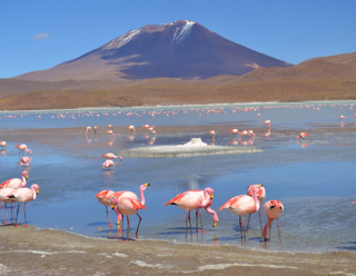 Bolivia Discovery: 11-Day La Paz, Sucre, Potosí & Uyuni Adventure