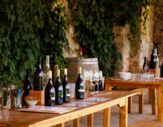 French Wine Regions from Paris